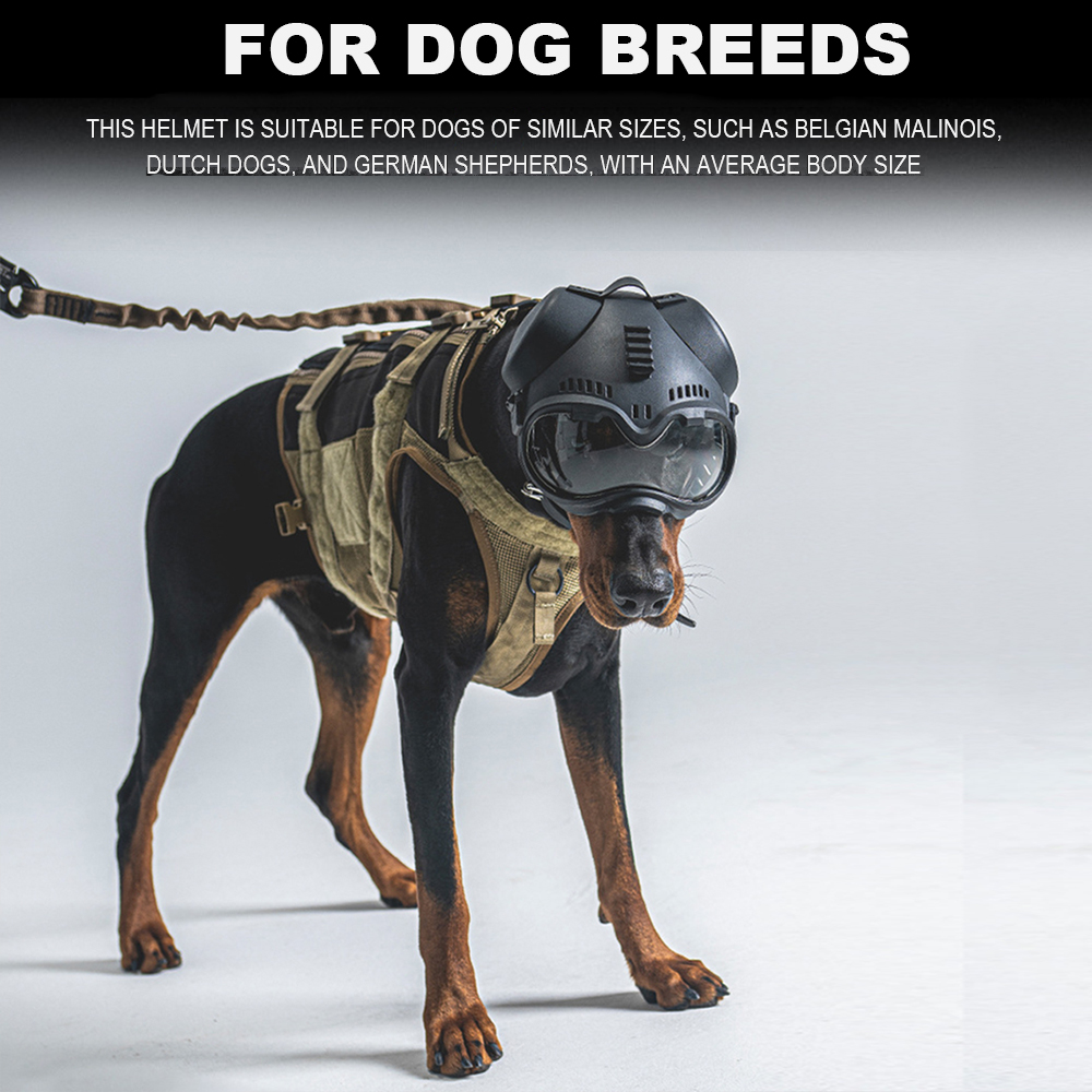 Tactical Dog Outdoor Hunting T - Hunting Dog Outdoor review and price