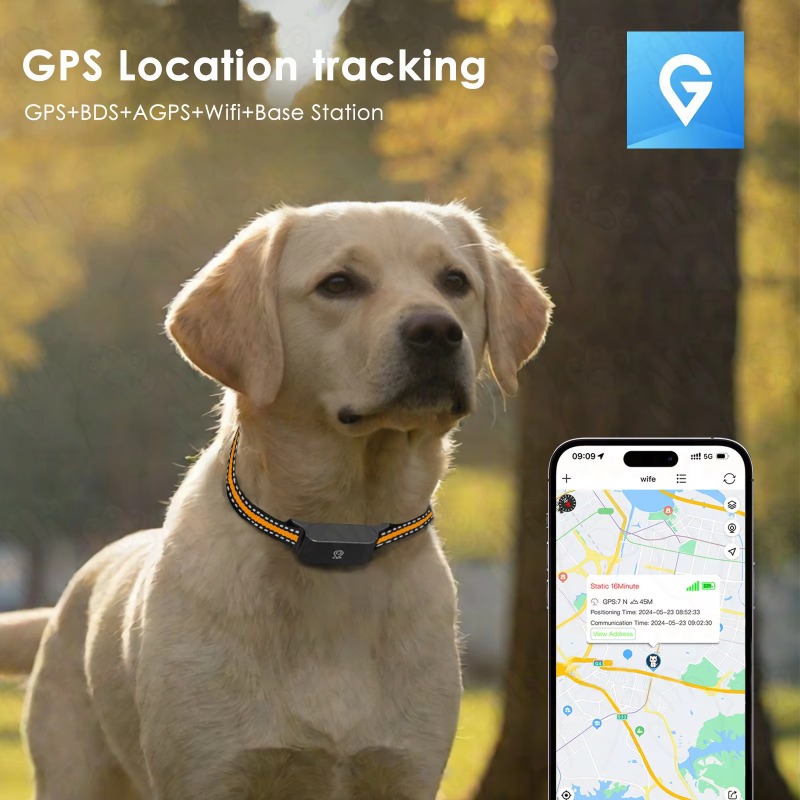 Dog GPS Tracker Outdoor Campin - Hunting Dog Outdoor review and price