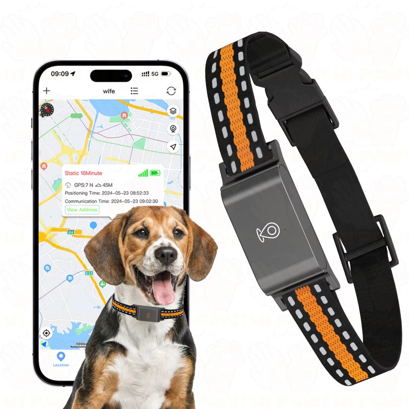Dog GPS Tracker Outdoor Campin - Hunting Dog Outdoor review and price